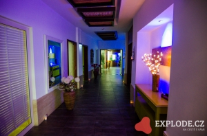 Wellness zóna