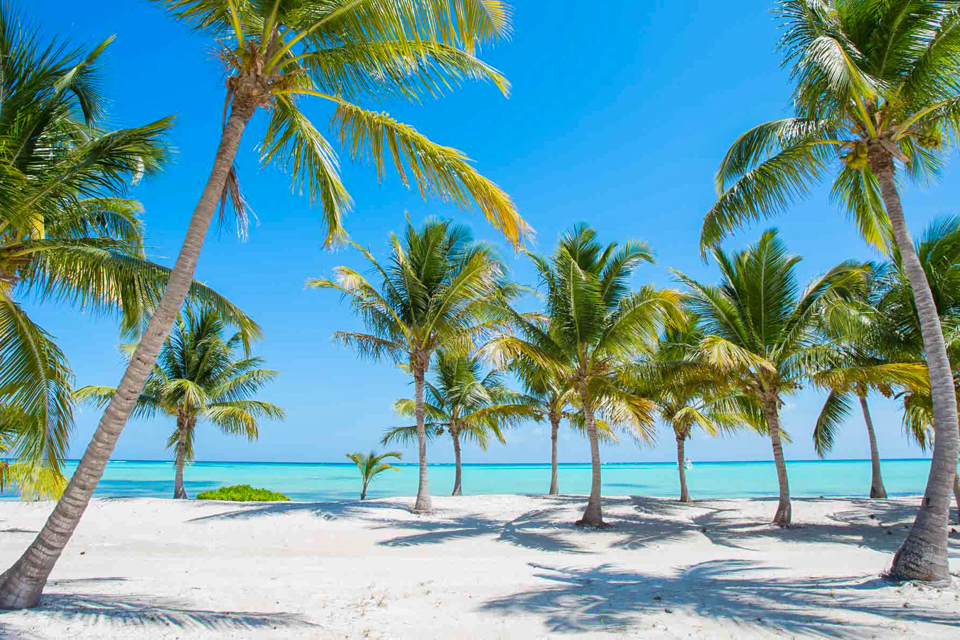Last minute Punta Cana Last minute Punta Cana