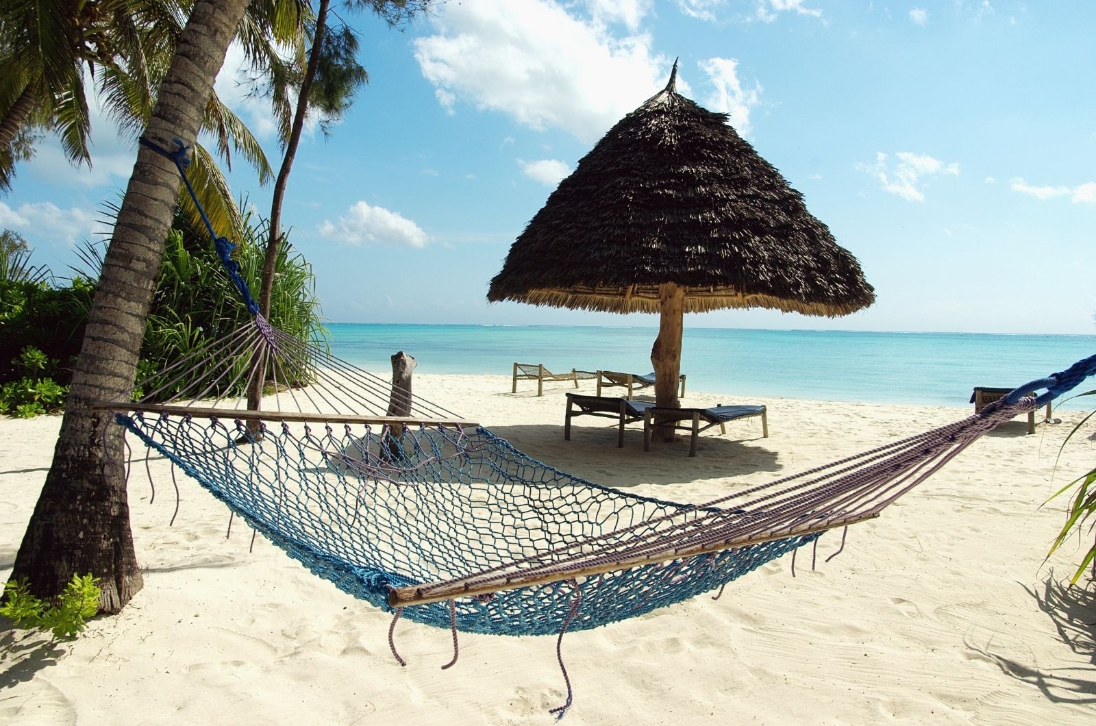 Kdy jet na Zanzibar? Kdy jet na Zanzibar?