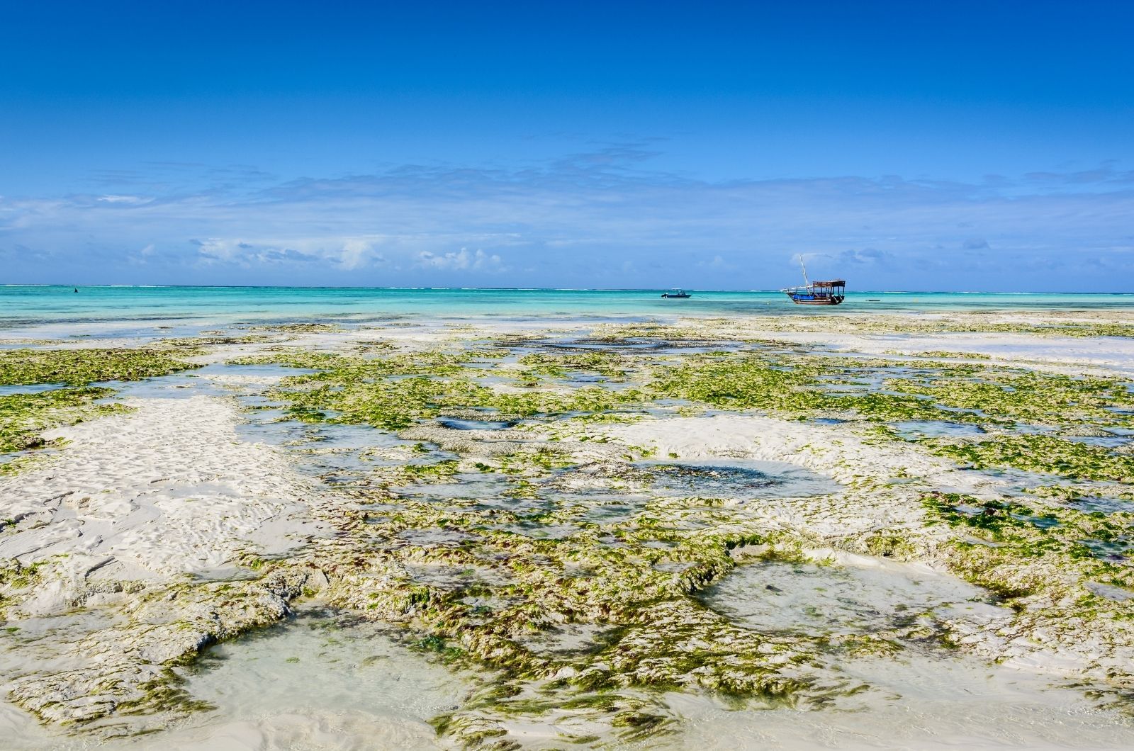 Příliv a odliv na Zanzibaru Příliv a odliv na Zanzibaru