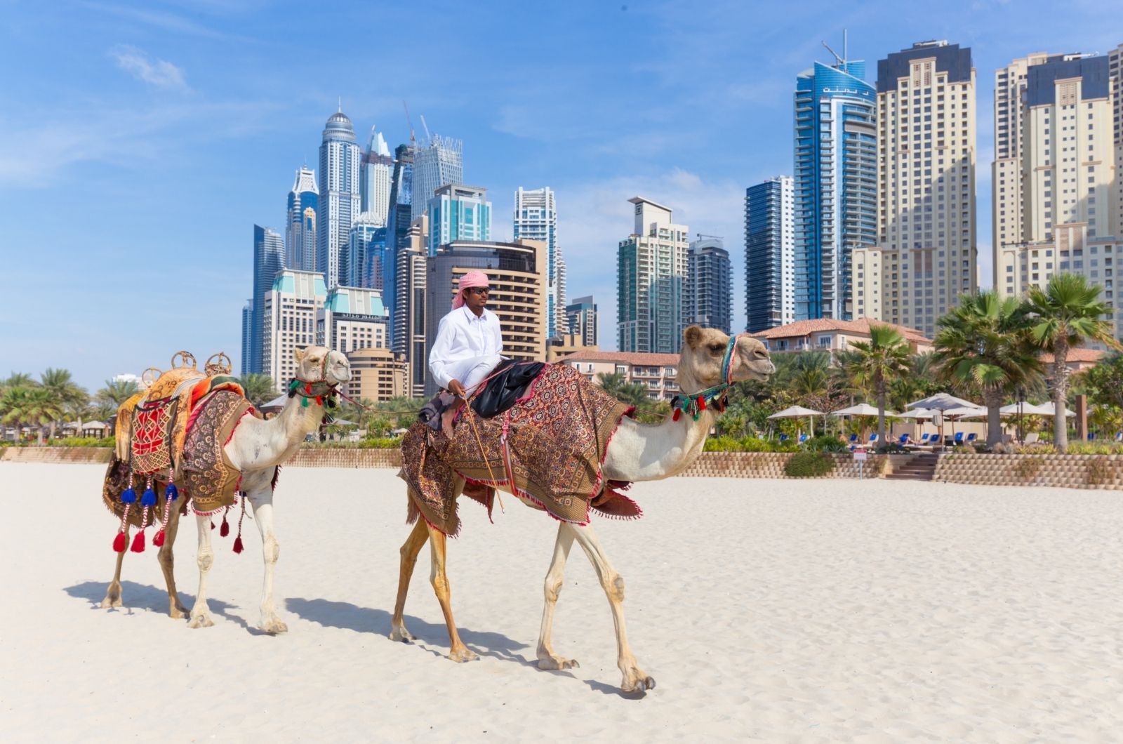 Aktivity ve Spojených arabských emirátech Aktivity ve Spojených arabských emirátech