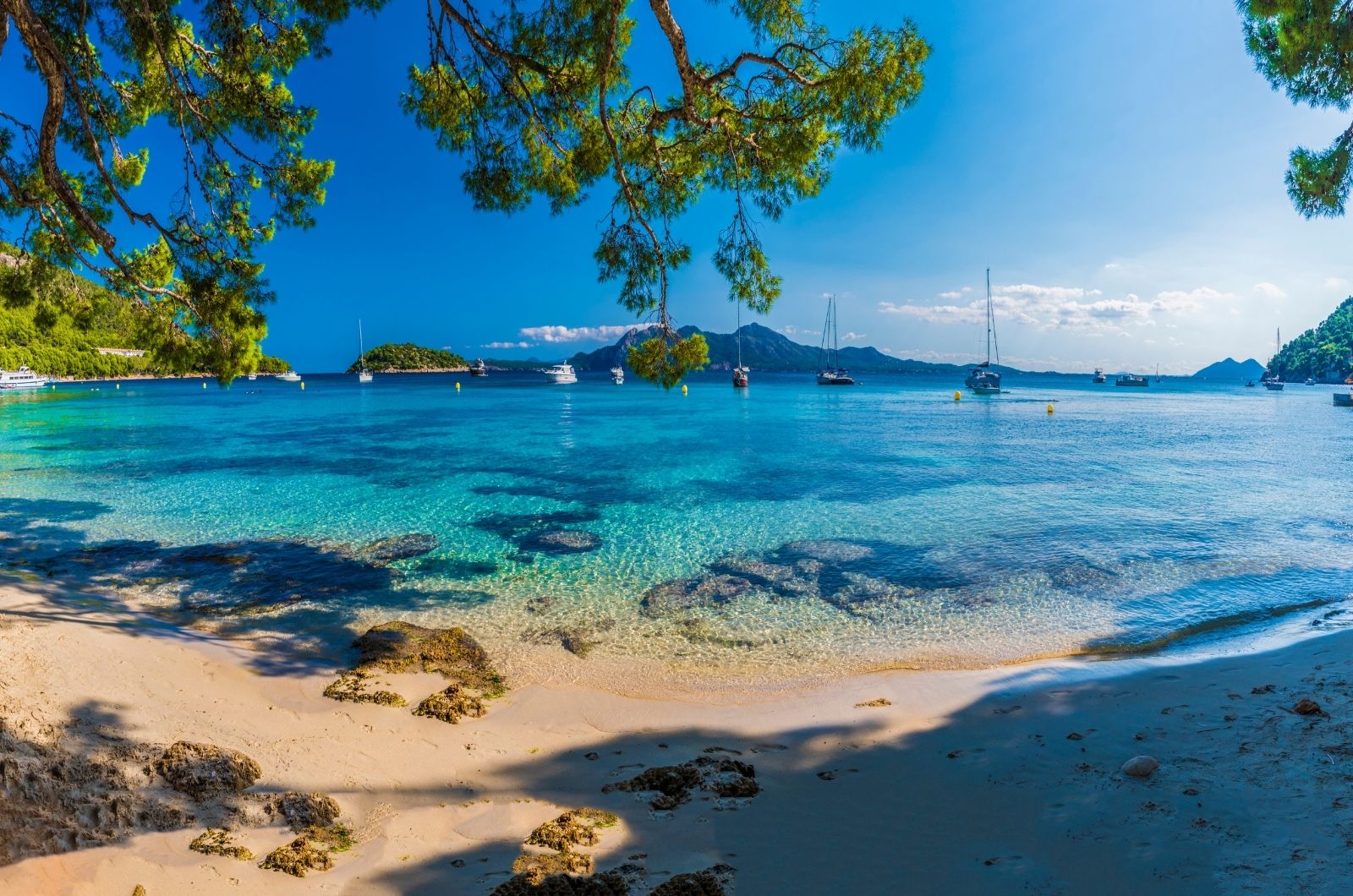 Fakta na Mallorce Fakta na Mallorce