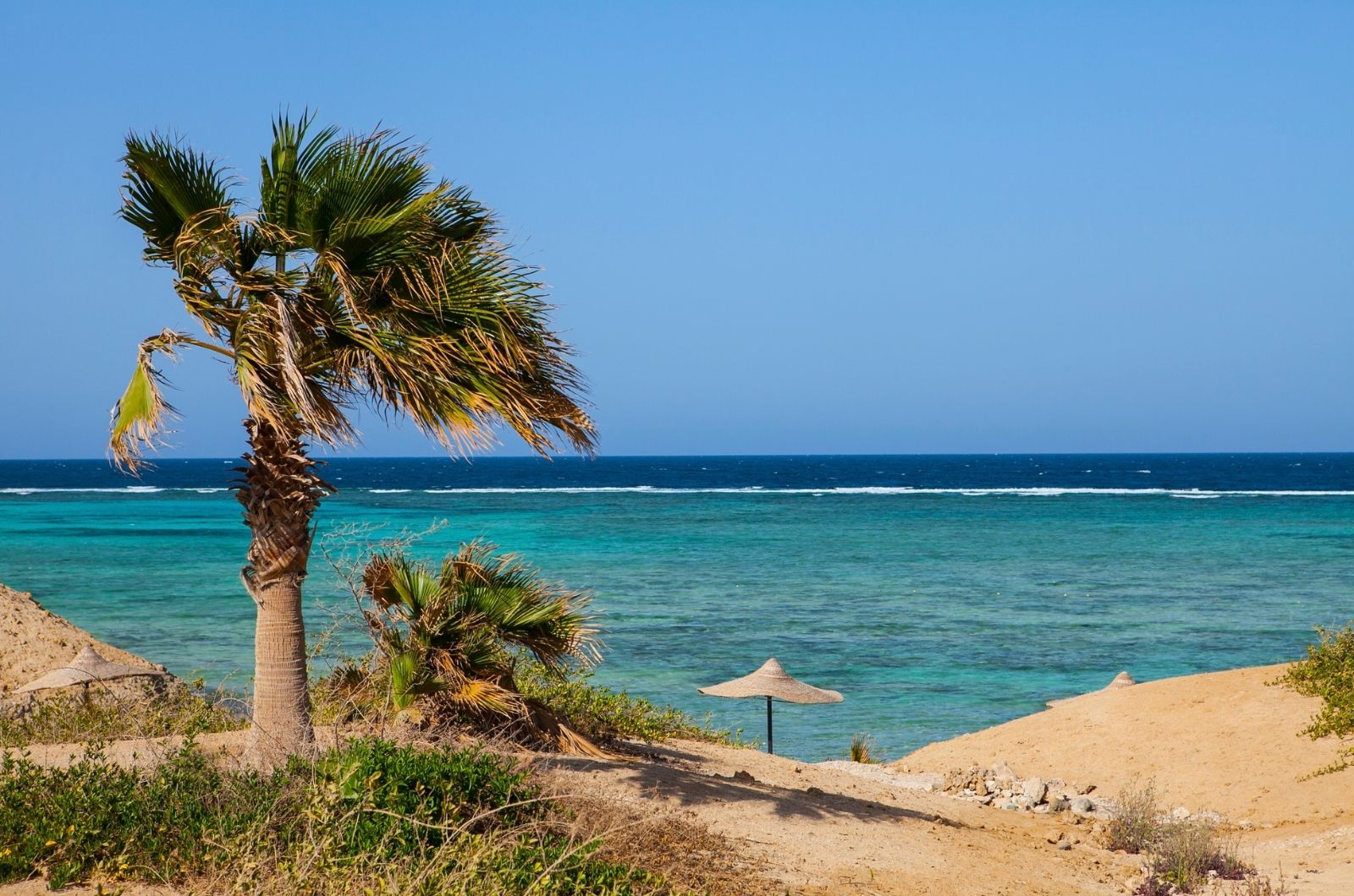 Marsa Alam Marsa Alam